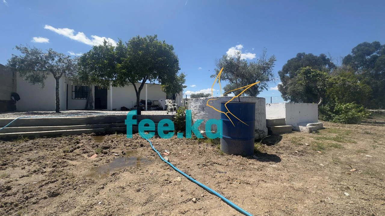 Quinta para Venda em Lardosa Foto 21