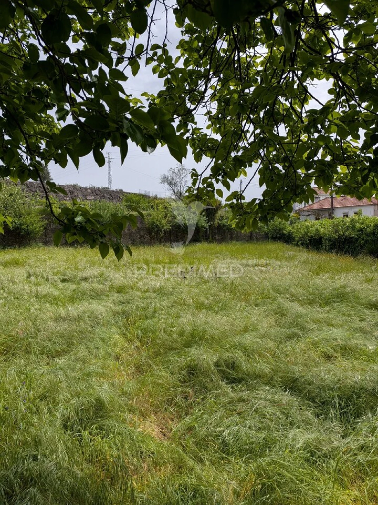Quinta T3 para Venda em Monte Córdova Foto 16