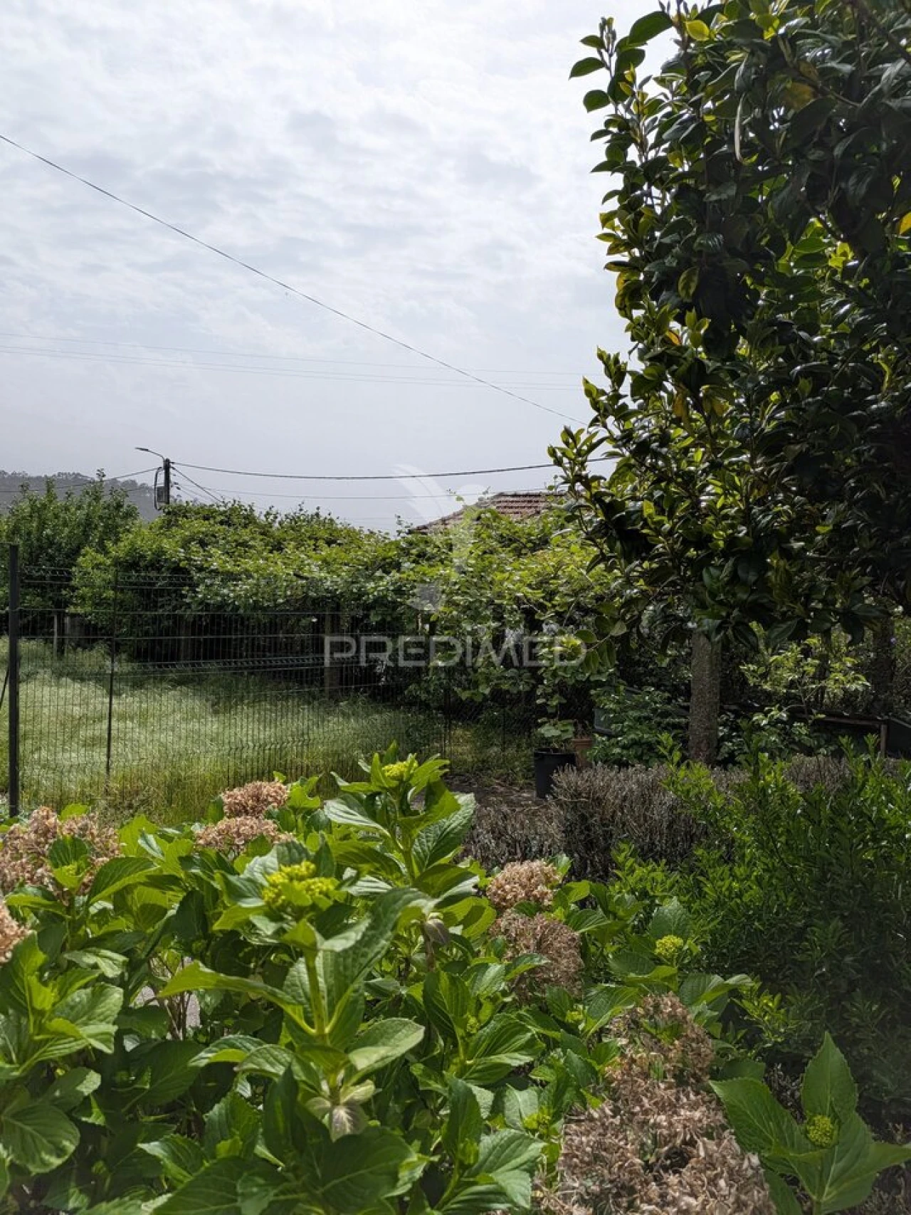 Quinta T3 para Venda em Monte Córdova Foto 15