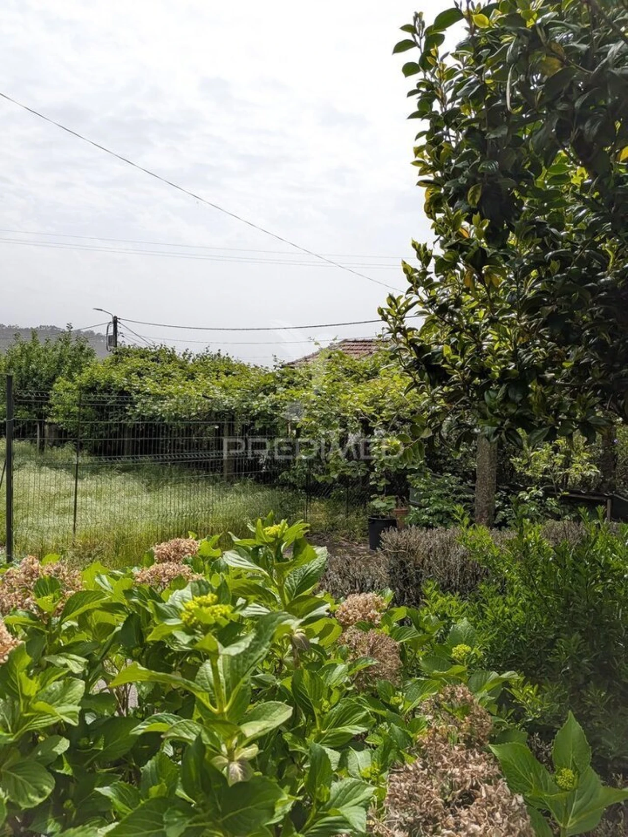 Quinta T3 para Venda em Monte Córdova Foto 25