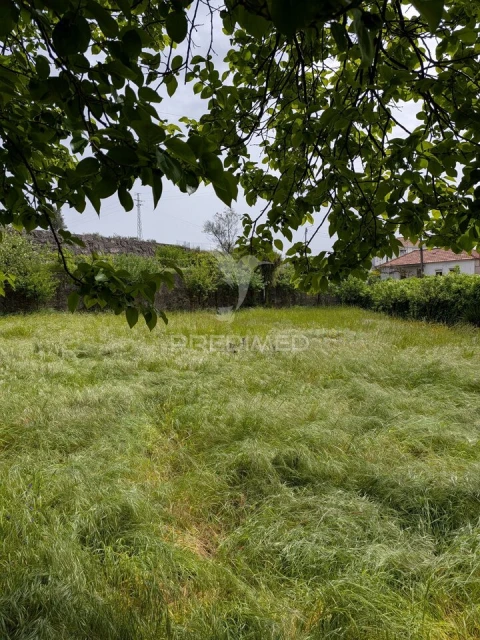 Quinta T3 para Venda em Monte Córdova