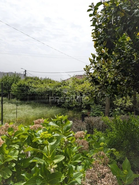 Quinta T3 para Venda em Monte Córdova