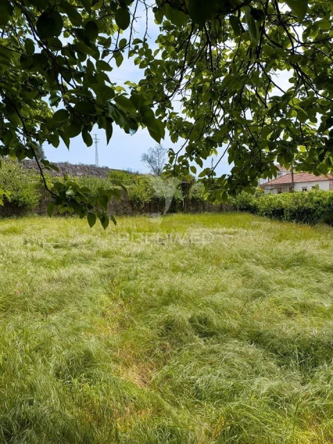Quinta T3 para Venda em Monte Córdova
