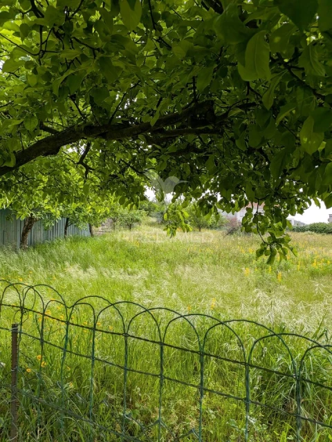 Quinta T3 para Venda em Monte Córdova