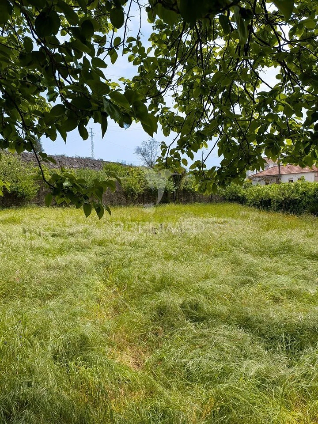 Quinta T3 para Venda em Monte Córdova Foto 18