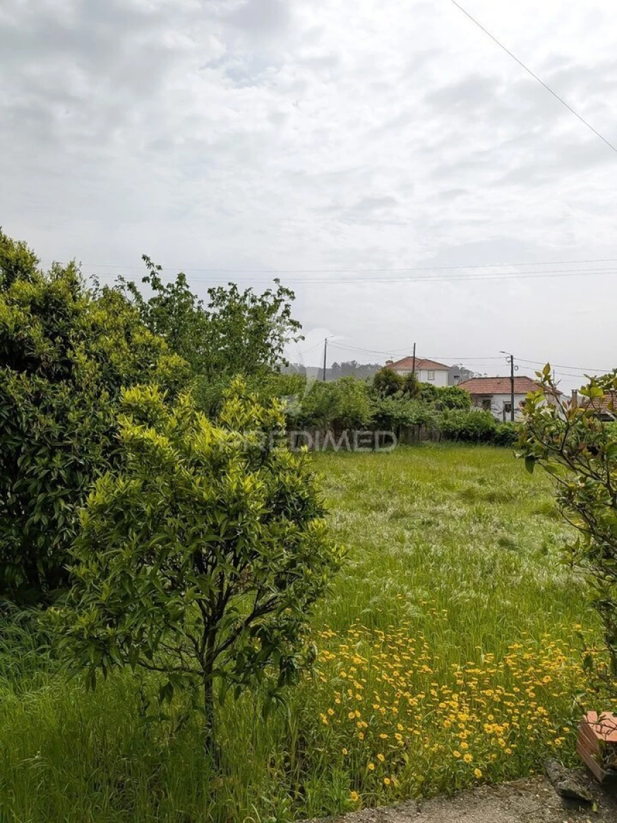 Quinta T3 para Venda em Monte Córdova Foto 20