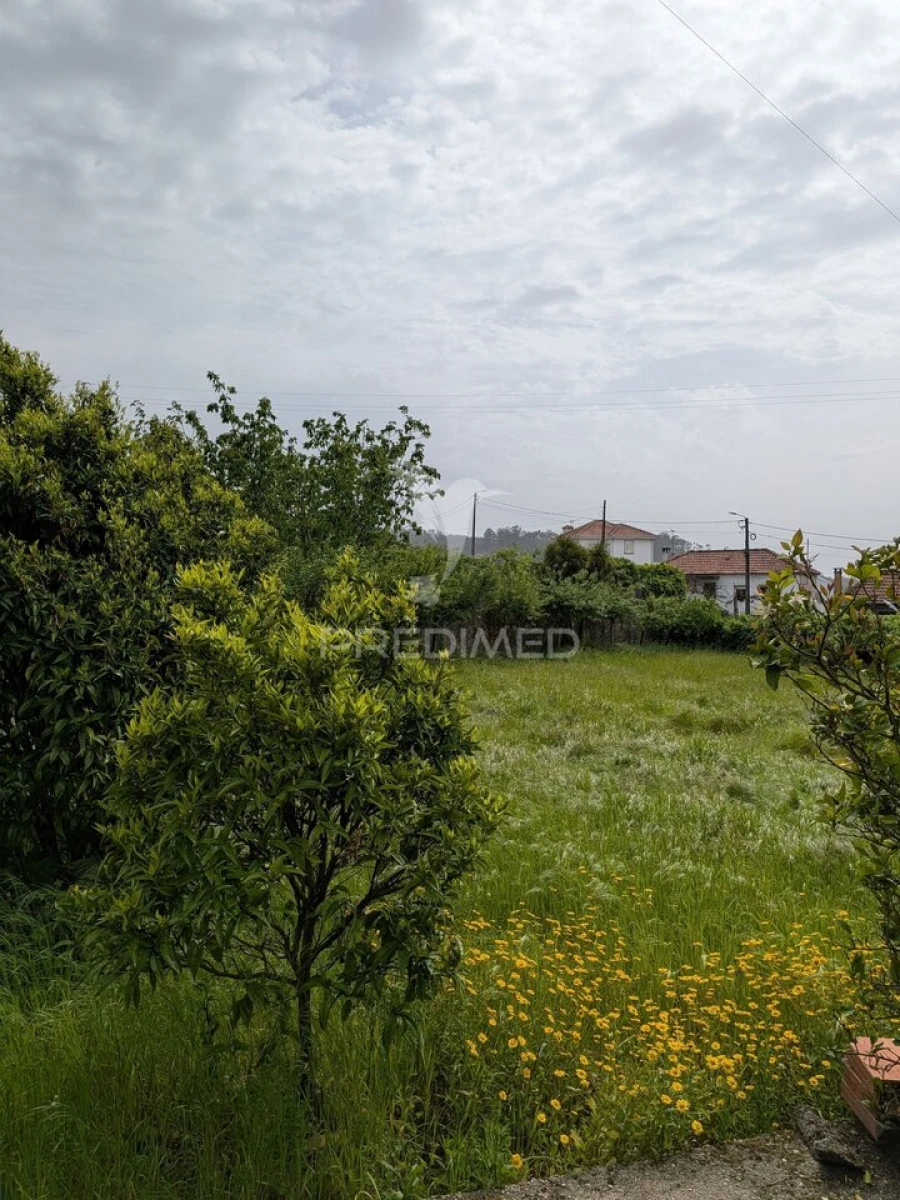 Quinta T3 para Venda em Monte Córdova Foto 17