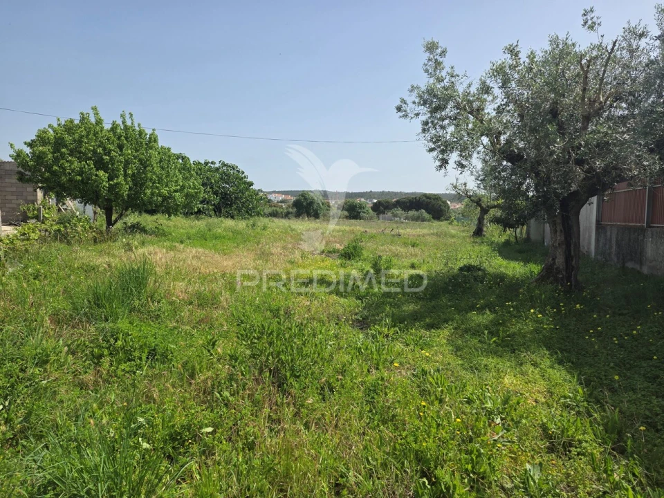 Terreno para Venda em Vila Nova da Barquinha Foto 7