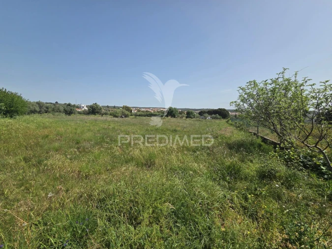 Terreno para Venda em Vila Nova da Barquinha Foto 6