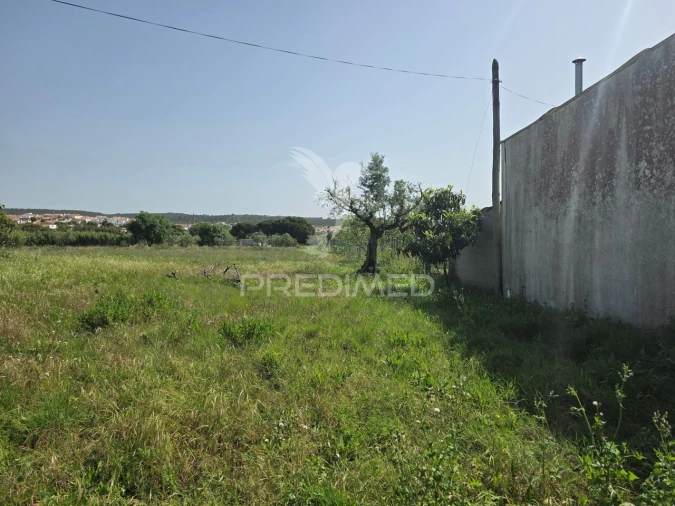 Terreno para Venda em Vila Nova da Barquinha Foto 8