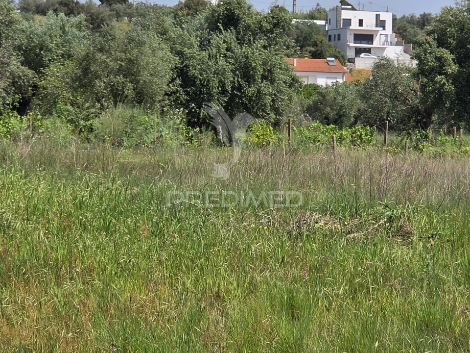 Terreno para Venda em Vila Nova da Barquinha Foto 10