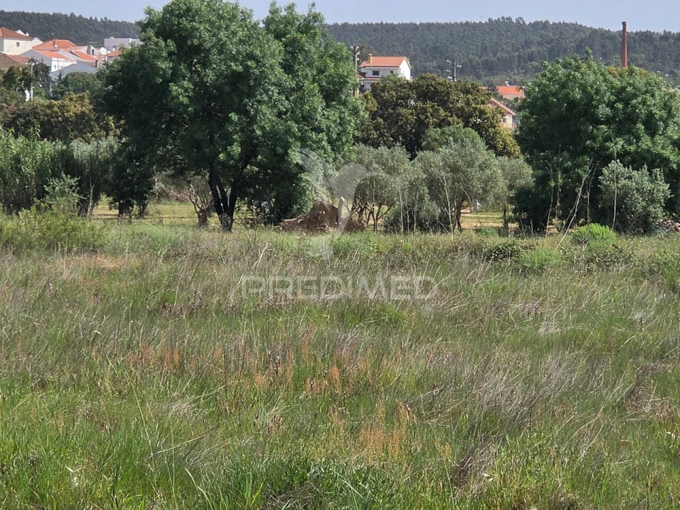 Terreno para Venda em Vila Nova da Barquinha Foto 12