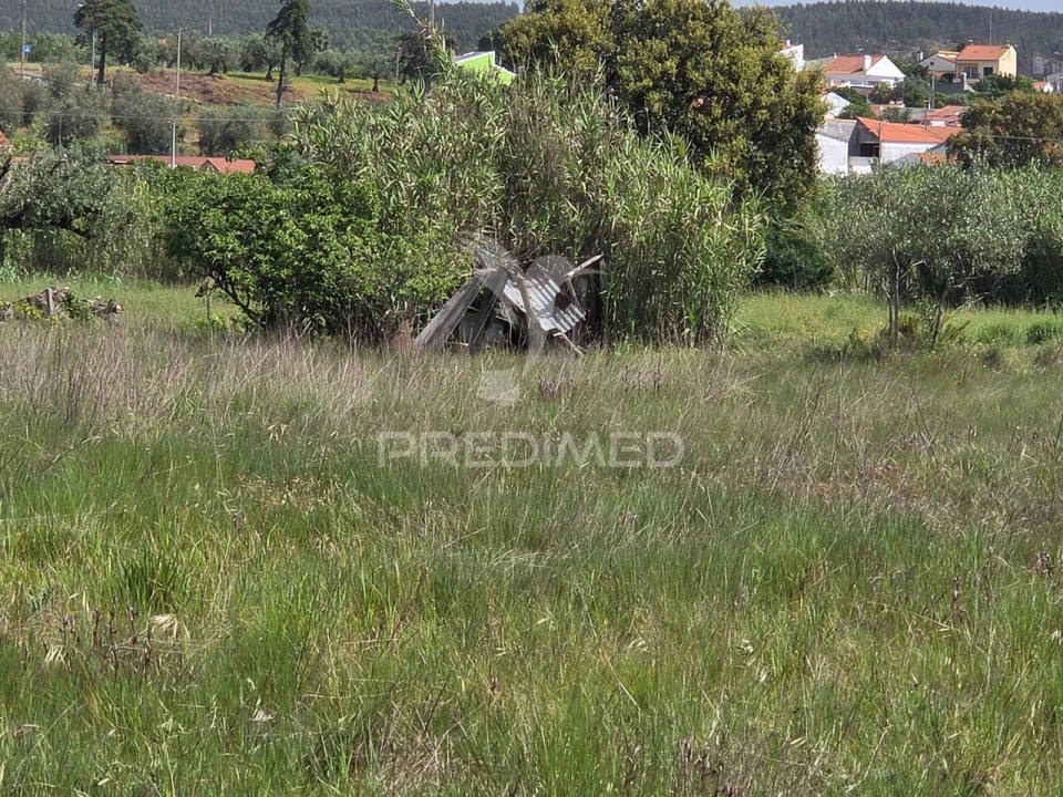 Terreno para Venda em Vila Nova da Barquinha Foto 11