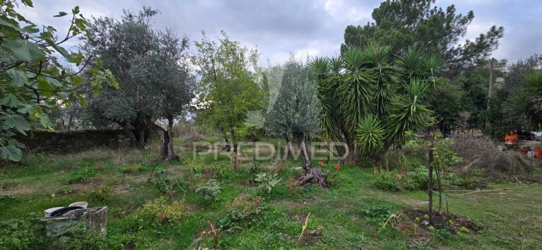 Quinta T2 para Venda em Sé e São Lourenço Foto 6