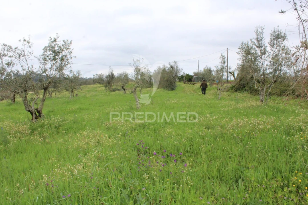 Terreno para Venda em Pussos São Pedro Foto 3