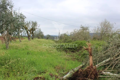 Terreno para Venda em Pussos São Pedro