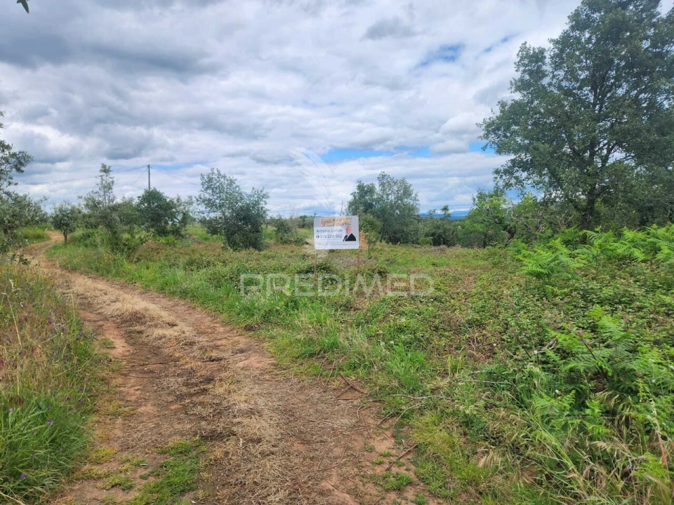 Terreno para Venda em Pussos São Pedro Foto 2