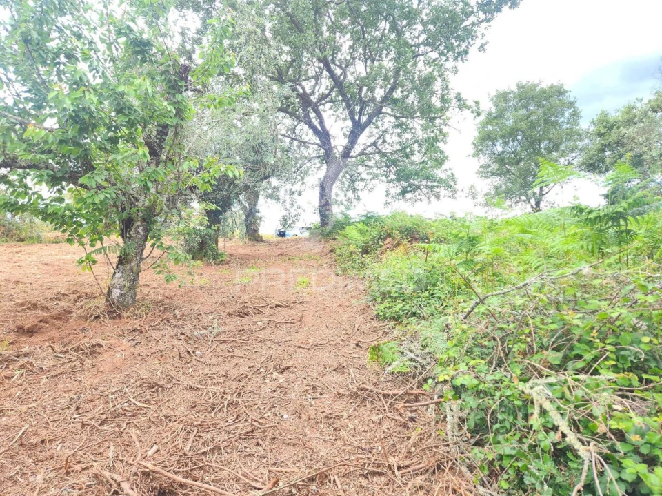 Terreno para Venda em Pussos São Pedro Foto 2