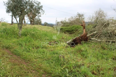 Terreno para Venda em Pussos São Pedro