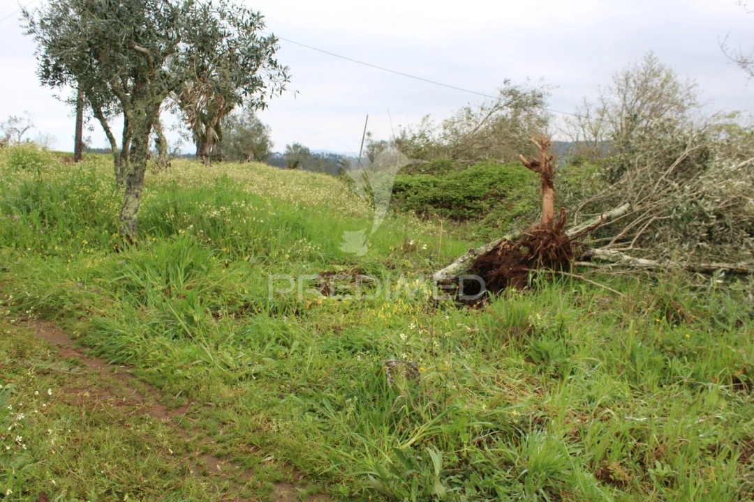 Terreno para Venda em Pussos São Pedro Foto 1