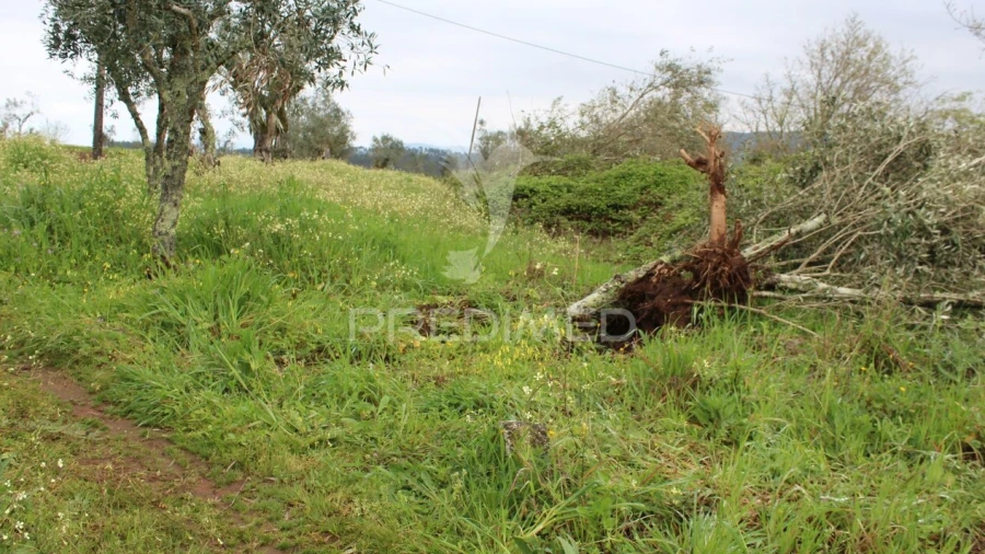 Terreno para Venda em Pussos São Pedro
