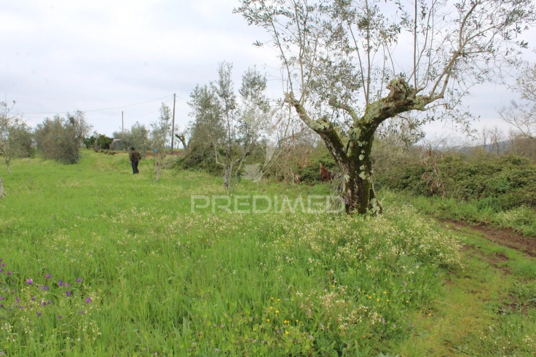 Terreno para Venda em Pussos São Pedro Foto 1
