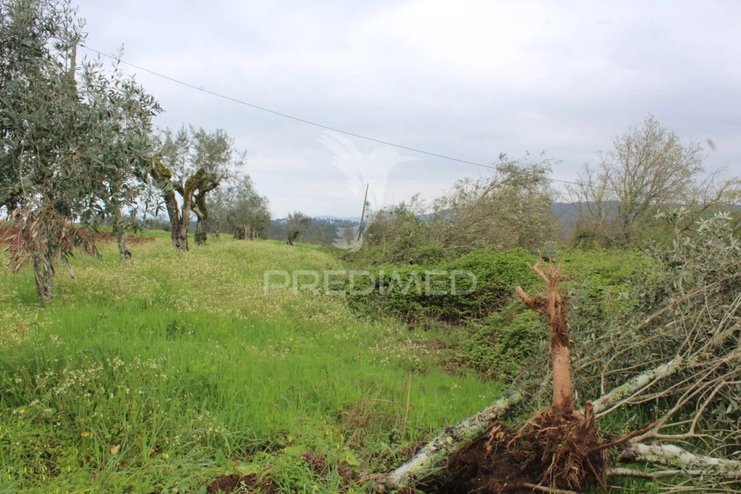 Terreno para Venda em Pussos São Pedro Foto 2