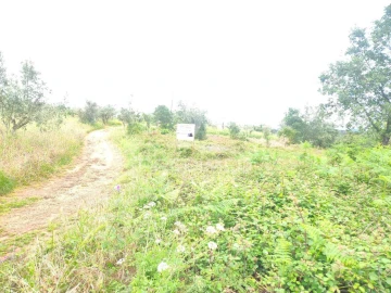 Terreno para Venda em Pussos São Pedro