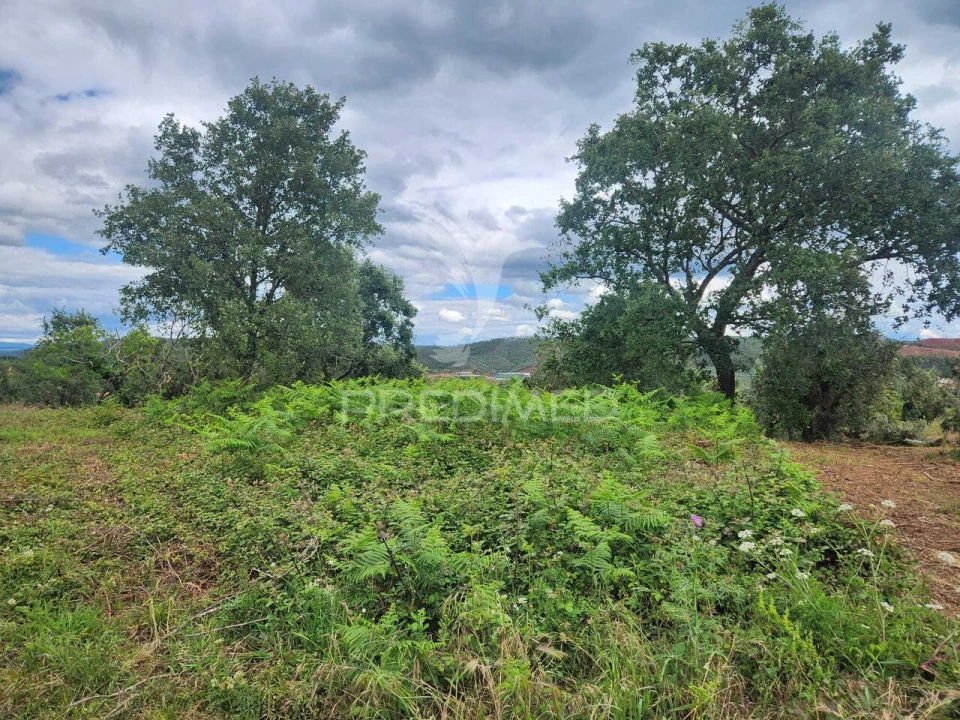 Terreno para Venda em Pussos São Pedro Foto 2