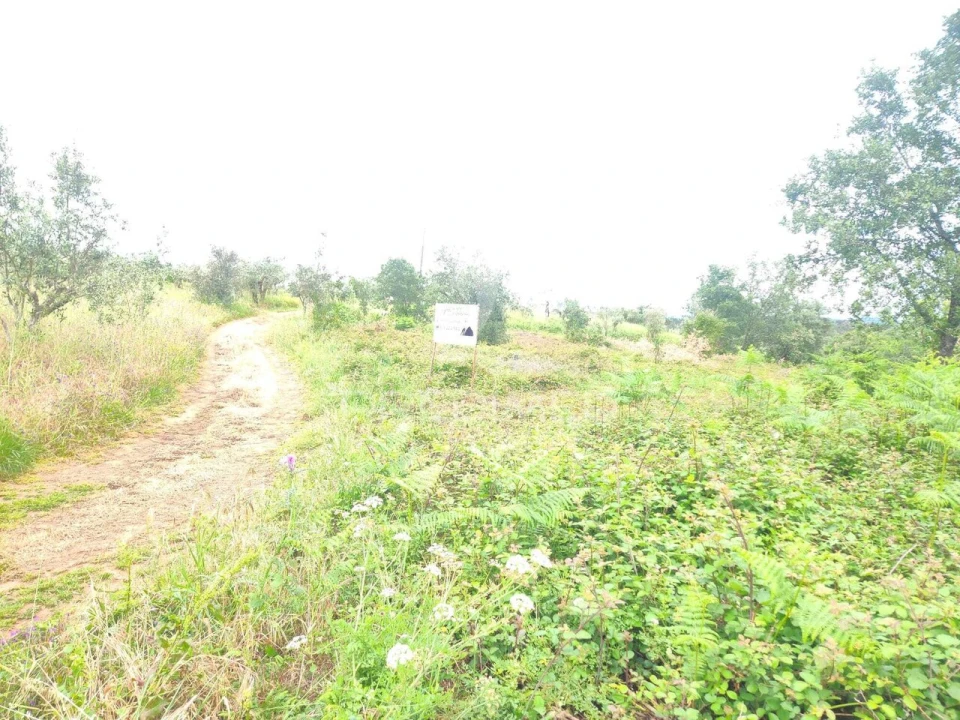 Terreno para Venda em Pussos São Pedro Foto 6
