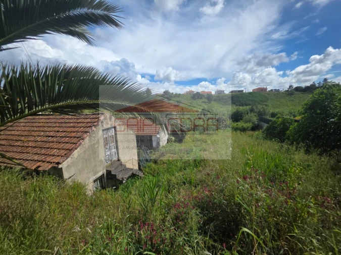 Terreno para Venda em Caldas da Rainha - Santo Onofre e Serra do Bouro Foto 8