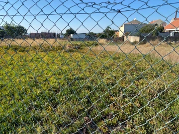Terreno para Venda em Samouco