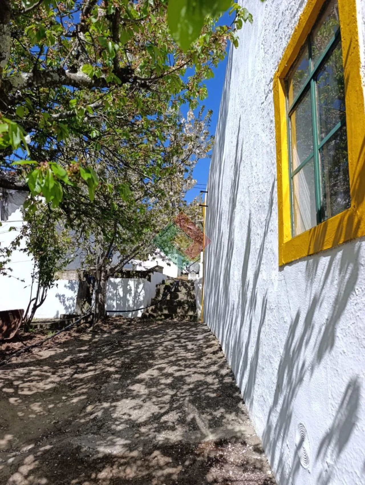 Quinta T4 para Venda em Reguengo e São Julião Foto 6
