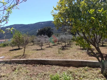 Quinta T4 para Venda em Reguengo e São Julião