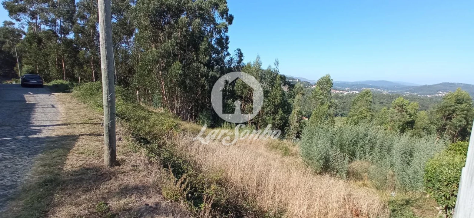 Terreno para Venda em Quintiães e Aguiar Foto 6