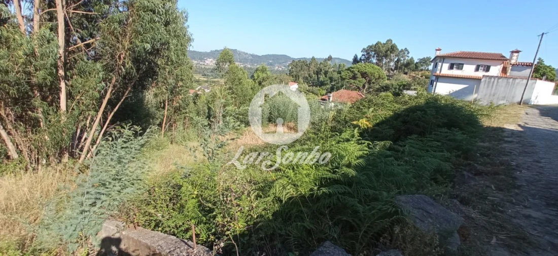 Terreno para Venda em Quintiães e Aguiar Foto 7