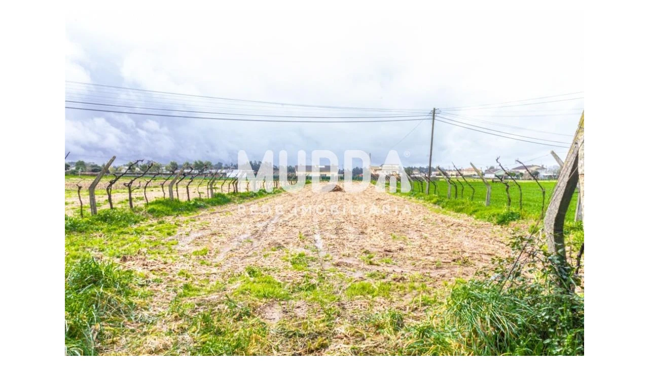 Terreno para Venda em Beduído e Veiros Foto 1