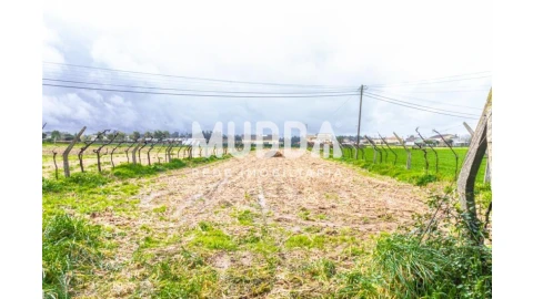 Terreno para Venda em Beduído e Veiros