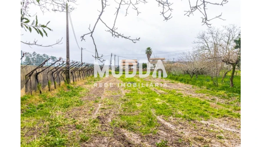 Terreno para Venda em Beduído e Veiros Foto 2