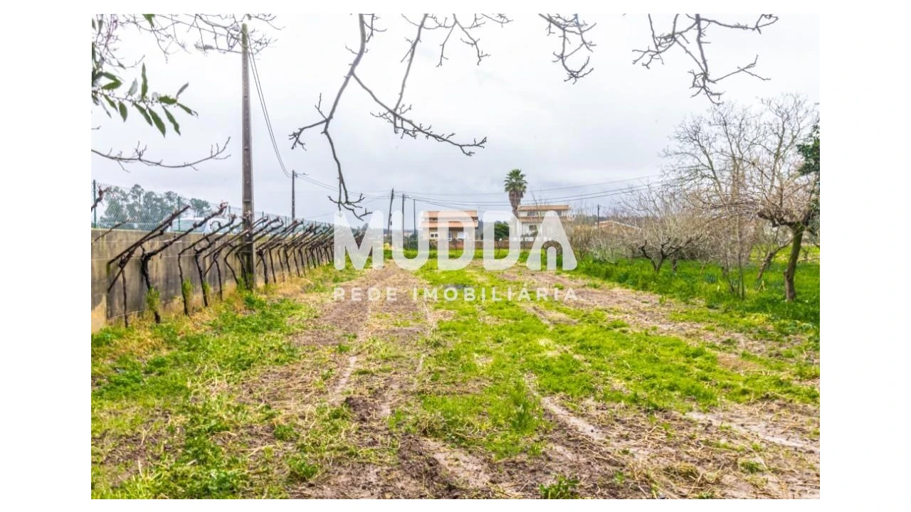 Terreno para Venda em Beduído e Veiros Foto 2