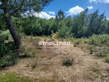 Terreno para Venda em Teixoso e Sarzedo