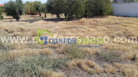 Terreno para Venda em Castelo Branco