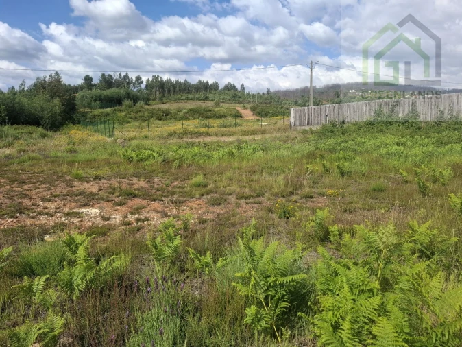 Terreno para Venda em Vila Cova de Alva e Anseriz Foto 10