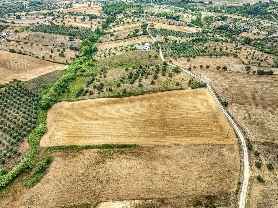 Terreno para Venda em Moçarria Foto 5