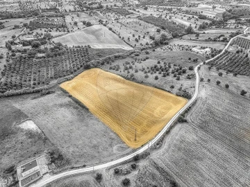 Terreno para Venda em Moçarria