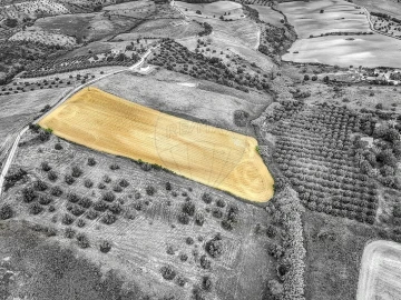 Terreno para Venda em Moçarria