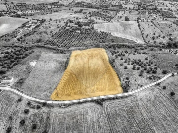 Terreno para Venda em Moçarria