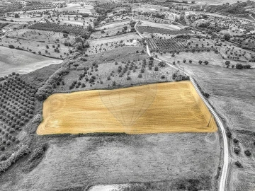 Terreno para Venda em Moçarria