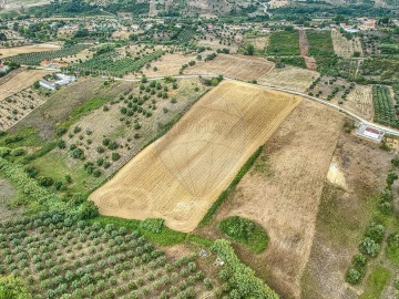 Terreno para Venda em Moçarria