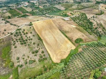 Terreno para Venda em Moçarria